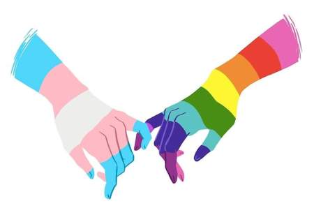 Guanajuato carece de información oficial sobre población lgbt: Visible Mx