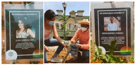 Siembran árboles en memoria de víctimas de odio lgbt+