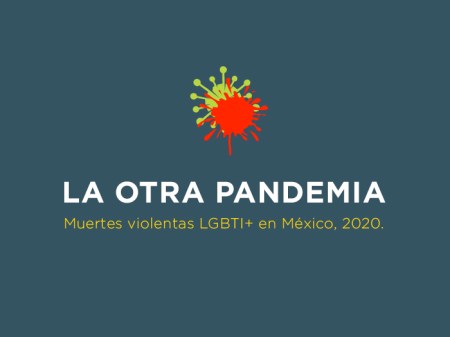 «Se registraron 79 crímenes de odio a personas LGBT+ en 2020», Letraese