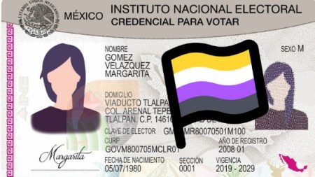 INE ya emite credenciales a personas no binarias