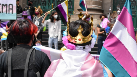 Proponen reconocer la identidad de género en la Constitución mexicana