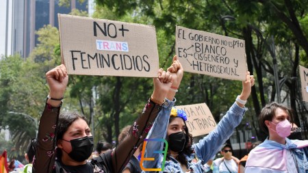 60 años de prisión a quien cometa transfeminicidio, proponen diputados