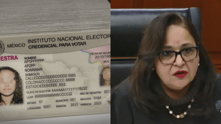 Entre Franjas: «¿Por qué defender al INE y a la Magistrada Presidenta Norma Lucia Piña?» por Jazz Bustamante Hernández