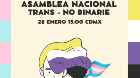 Entre Franjas: «No perdamos de vista la Asamblea Trans/NB, un esfuerzo comunitario en la República Mexicana» por Jazz Bustamante Hernández